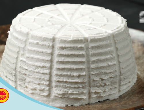 New specification Ricotta di Bufala Campana PDO approved by Brussels: light and lactose-free versions to satisfy consumers