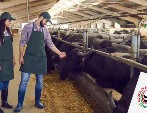 ClassyFarm and Animal Welfare… Italy at the forefront.